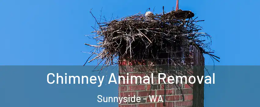  Chimney Animal Removal Sunnyside - WA