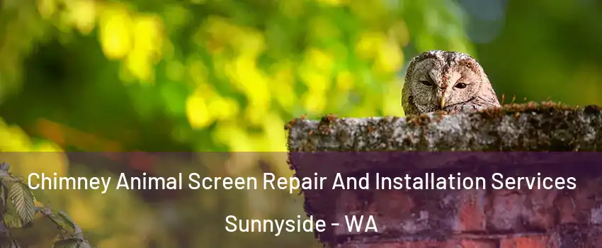 Chimney Animal Screen Repair And Installation Services Sunnyside - WA