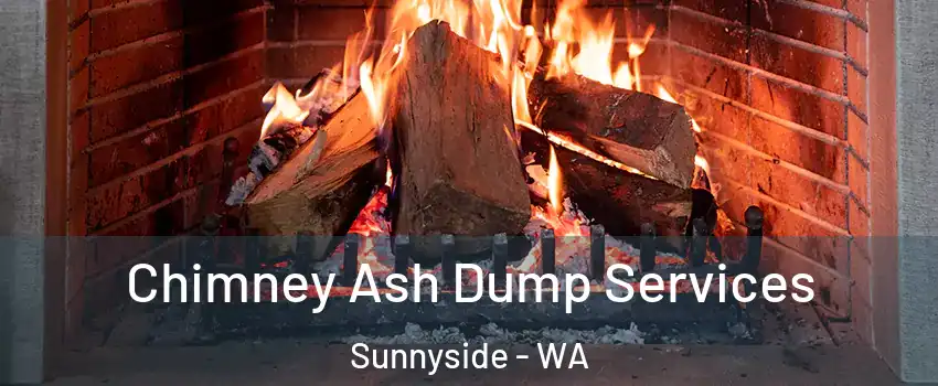  Chimney Ash Dump Services Sunnyside - WA