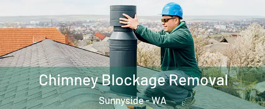  Chimney Blockage Removal Sunnyside - WA