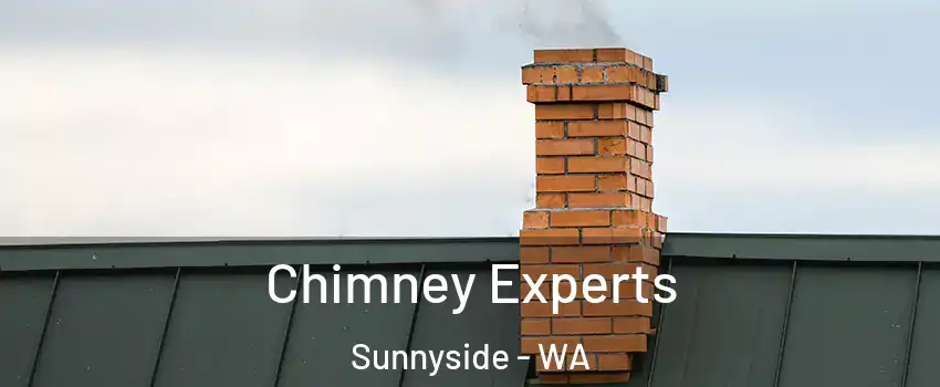  Chimney Experts Sunnyside - WA