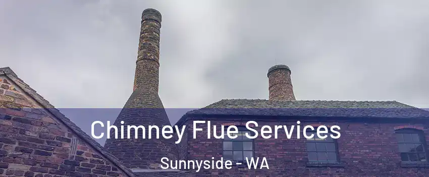  Chimney Flue Services Sunnyside - WA