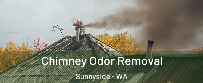 Chimney Odor Removal Sunnyside - WA