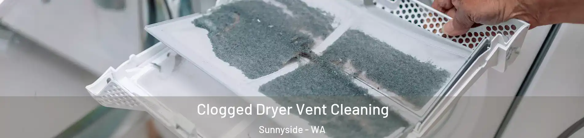  Clogged Dryer Vent Cleaning Sunnyside - WA