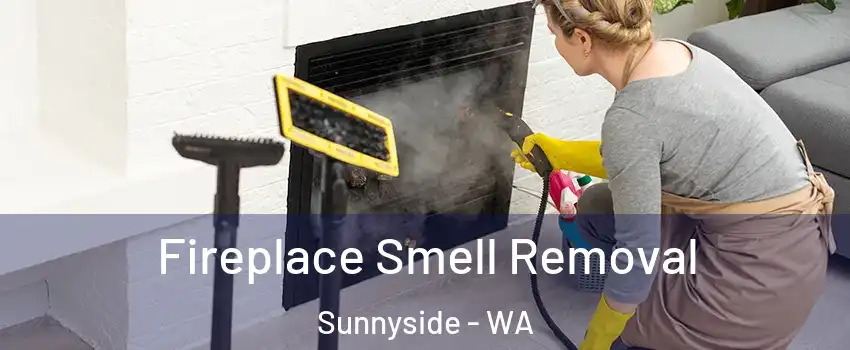  Fireplace Smell Removal Sunnyside - WA