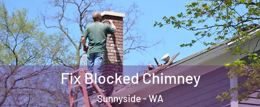  Fix Blocked Chimney Sunnyside - WA