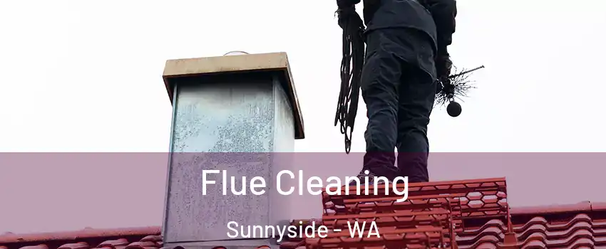  Flue Cleaning Sunnyside - WA
