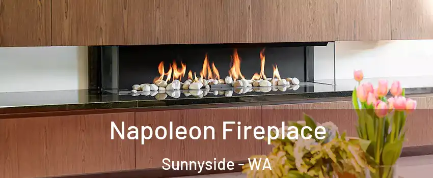  Napoleon Fireplace Sunnyside - WA